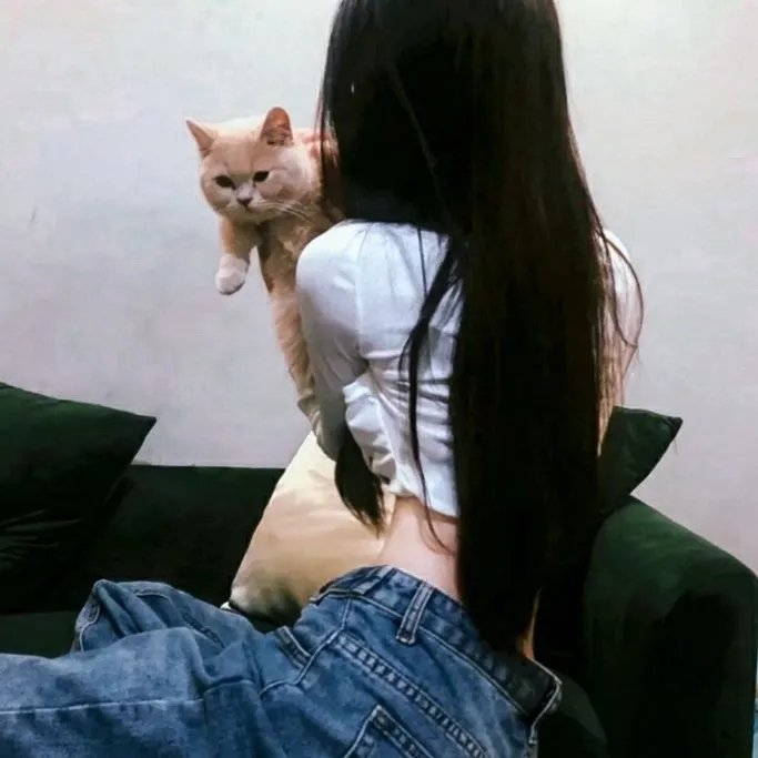飞哥与小佛第二季