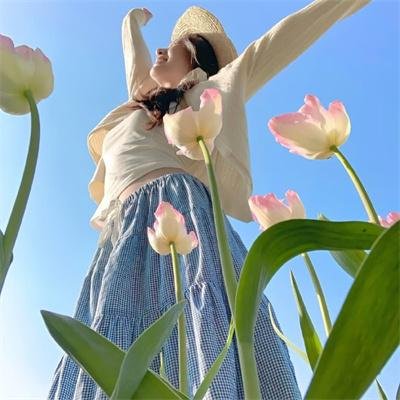 银之守墓人日语版