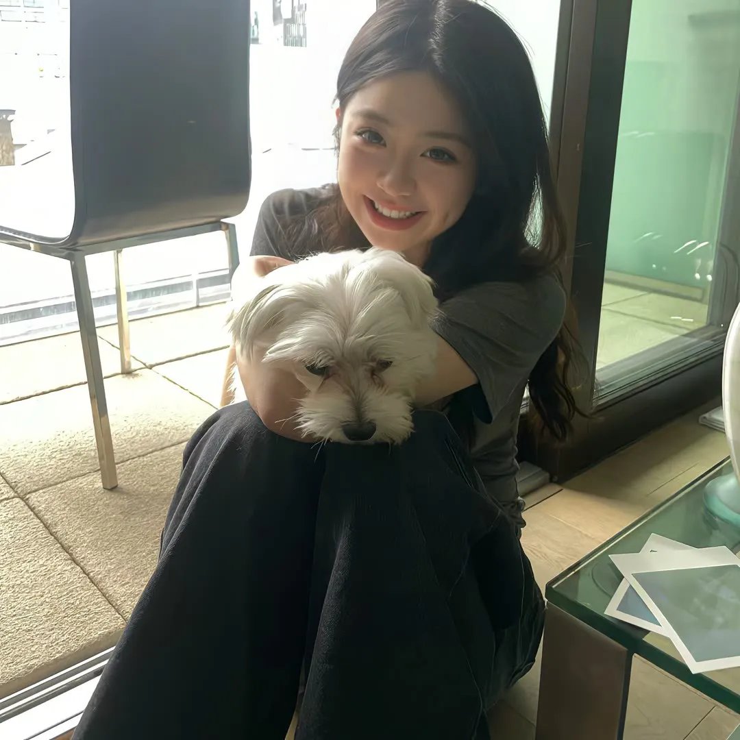 神探忠犬